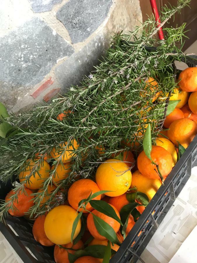 Lasmari'S Bouquet Sykopetra Eksteriør bilde